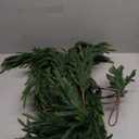 12FT2 * 6FT Christmas Norfolk Pine Garland, Real Touch Faux Green Garlands, Winter Artificial Greenery Garland for Mantle, Stairs, Table, Fireplace, Indoor & Outdoor Xmas Decorations