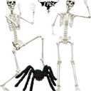 CAMIRUS 5.4ft/165cm Halloween Skeleton, Life Size Skeleton with Hairy Spider Pumpkin Bag, Full Body Human Bones with Movable Joints for Halloween Indoor Outdoor Haunted House Decorations