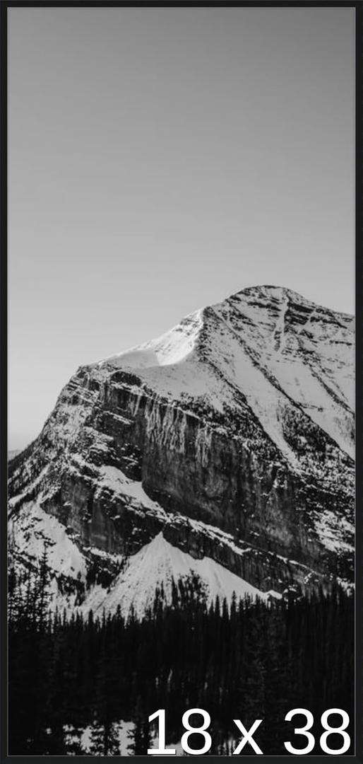 Frame It Easy 18 1/2 x 38 Satin Black Metal Frame (Ashford) 18.5x38 inches