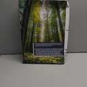 Knife Set - 6pcs Kitchen knife set with block and sharpener, Premium Stainless Steel Knife Set Prevent Rusting with Uniquely Designed Wood knife Block, Ultra Sharp Knives with Ergonomic Handle