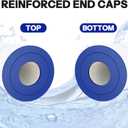 Pool Filter Compatible with 580, CX580XRE, CX580XRE, SwimClear C3025, SwimClear C3030, PA81/ -4/ PAK4, C-7483, FC-1225, 4 Pack