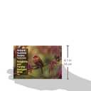 National Audubon Society Pocket Guide to Songbirds and Familiar Backyard Birds: Eastern Region: East