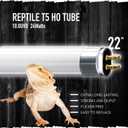 T5 Reptile 24W UVB 10.0 Tube, 2-Pack for Desert Reptiles & Bearded Dragons, 22''