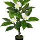 Briful Artificial Plants Indoor 26.77'' Fake Tropical Plumeria Flowers Tree Plants in Black Pot Hawaiian White Plumeria Rubra Faux Frangipani Tree Floor Plant for Home Office Wedding Decor