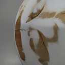 Hand Carved Wooden Decorative Bowl for Home Entryway Decor, Wood Centerpiece Bowl for Coffee Table Decor, Wood Dough Bowl for Farmhouse Decor (Whitewashed)