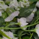 Lvydec Wisteria Artificial Flowers Garland, 4Pcs Total 28.8ft White Artificial Wisteria Vine Silk Hanging Flower for Home Garden Outdoor Ceremony Wedding Arch Floral Decor (White,green)
