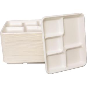 Small and Shallow 10.25 * 8.25inch 5 Compartment Plates 125pack, Disposable 5 Section eco friendly Sugarcane Divided Plates,School Lunch Tray And Disposable Plates With Compartment