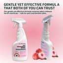 Pet Odor Eliminator Spray | Peach Blossom Scent | Plant-Based & Natural Formula, Pet Friendly, Home & Car | For Urine, Litter Box, Carpet | 16.9 fl oz