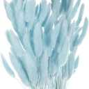 MECCANIXITY 120pcs Natural Rabbit Bunny Tails Dried Flowers 24" Mini Pampas Grass Lagurus Ovatus Bunch for Floral Wedding Decor Christmas, Sky Blue