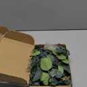 Juexica Artificial Hanging Eucalyptus Wall Decor Boho Bedroom Wall Decor with LED String Light for Home Office Farmhouse Nursery Bathroom Kitchen, 66.93 Inches