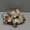 2PACK Thanksgiving Fall Wreaths for Front Door Porch Wreath with Pumpkin Berries and Spring Eucalyptus Wreath for Indoor Outdoor Decor for Autumn Harvest Thanksgiving Holiday Celebrations