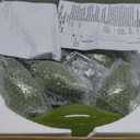 Mushroom Floor Lamp,59in Modern Cream Style Led Floor Light,Green Minimalist Floor Lamps for Living Room,Bedroom,Office,Dining Room,Children's Room(Bulb not Included)