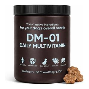 DM-01 Daily Multivitamin for Dogs, Multivitamin Itch Relief Chews, Skin and Coat Healthy, Gut Health & Boost Immunity, with Folic Acid, Salmon Oil, Probiotics & Vitamins, Beef Flavor, 60 Chew (1) EXP: Jul 04 2028