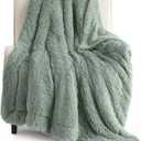 Bedsure Fuzzy Sherpa Faux Fur Twin Blanket Sage Green Cozy Gifts for Women Men, Soft Fleece Plush Warm Minky Thick Blanket Twin Size for Bed, Room Decor Dorm Essentials Sage Decor Gifts, 60x80