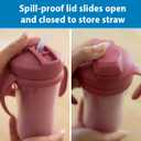 Dr. Brown's Milestones Insulated Sippy Cup with Straw and Handles, Spill-Proof Tumbler with Lid, Pink/Coral, 10 oz/300 mL, BPA-Free, 12m+, 2-Pack
