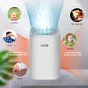 Desktop Air Purifier with HEPA Filter for Office Bedroom Bathroom, Small USB Air Purifiers for Pollutants, Dust, Odor, Super Quiet Powered by USB No Adapter (White)