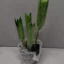 GeRRiT Artificial Plants and Flowers Artificial Green Plants Artificial Bird of Paradise Bonsai Artificial Cannabis Plant Bonsai New 1.8m 13-Leaf Bird of Paradise