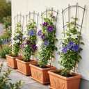 Thealyn 4 Pack 43" Metal Plant Trellis for Pots & Garden Beds, Rustproof Support for Indoor Outdoor Climbing Plants, Vines, Flowers, Fan Shaped, Black