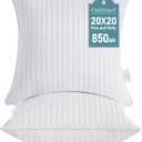 Oubonun 20 x 20 Throw Pillow Inserts, Firm and Fluffy Decorative Square Pillows for Couch Bed Sofa with Soft Cotton Cover White Cushion with Down Alternative Pack of 2