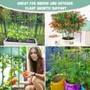 Legigo 2-Pack Tomato Cage for Garden Plant Support - Up to 48in Garden Stakes, Tomato Trellis for Potted Plants, Tomato Cages Plant Stakes for Climbing Vegetables & Flowers