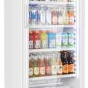 Velivi Commercial Beverage Refrigerator, 24.5" Glass Door Display Fridge, 15 Cu.Ft Beverage Cooler with 5 Adjustable Shelves, Auto Rebound Door, Low Noise, for Shops, Restaurants & Bars WHITE