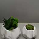 2in1 Reed Diffusers for Home & Faux Succulents Plants Artificial Set-Ceramic Potted Succulents x2 Pcs, Home Fragrance w/Lavender, Lemongrass, Eucalyptus Essential Oilx3 bottles 30ml with 9 Reed Sticks