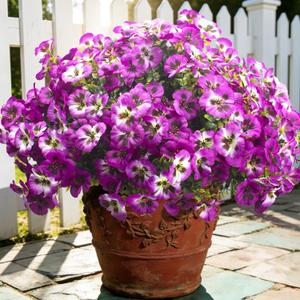 Grunyia Outdoor Artificial Flowers 16Pcs Fake Pansy Silk Flowers UV Resistant, Lifelike Faux Pansies for Planters Window Boxes Porch Garden Decor (Purple & Fuchsia)