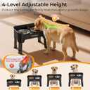 URPOWER Mess Proof Elevated Dog Bowls, High Wall Splash Guard Design, 4 Height Adjustable Raised Bowl Stand, 2 Stainless Steel Bowls, Non-Slip Food Water Set for Small Medium Large Dogs