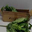 Senjie Artificial Boston Fern 2 Set 55 Branches Fake Ferns for Outdoors 32Inch Faux Plant for Home Living Room Office Decor