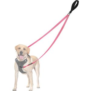 PetBonus Two Point Control Dog Leash, Works with No Pull Harnesses, No Tangle Training Leashes, Soft Padded and Reflective Walking Lead, Converts to Single Lead for Medium Large Dogs (Pink)