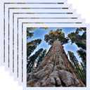 6x6 Square Picture Frame White Photo Frames Display for Wall and Tabletop, Set of 6