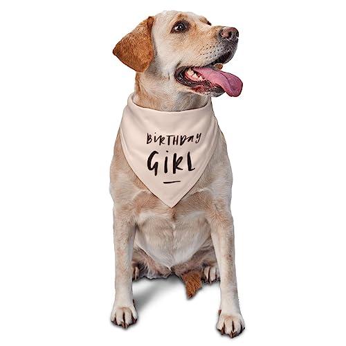vercosee Birthday Girl Dog Birthday Party Supplies,Triangle Scarf, Celebration Printed Dog Bandana Pet Accessories for Dog Lovers (Light Pink)