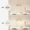 Plug in Pendant Light Boho Hanging Light Wicker Light Fixture Hand-Woven Rattan Pendant Lamp Boho Lamp for Hallway Entryway Kitchen Island Dining Room Bedroom