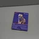 Halypet Cat Harness and Leash Set [ MAX Safety Third Generation ] Escape Proof Soft Adjustable Cat Leash Breathable Comfortable Vest Easy to Wear Kitten Harness for Outdoor Walking Black Small (Small (7-12lb))