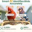 Bird Feeder with Camera, Smart Bamboo Bird Feeder, 2.5K UHD AI Identification, Real-time Videos & Pictures, Wireless Solar Powered Outdoor, Ideal for Garden Birding, Premium Present (Brown)