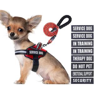 Service Dog Vest Harness and Leash Set, Animire in Training Dog Harness with 10 Dog Patches, Reflective Dog Leash with Soft Padded Handle for Small, Medium, Large, and Extra-Large Dogs (RED,S)