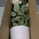 Hollyone Pink Fake Roses Artificial Flowers in Pot 23.6" Small Roses Tree Indoor Outdoor Faux Plants & Flowers Rose Silk Flowers Potted Plant Artificial Rose Floral Arrangement Desk Home Decor