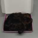 AISI HAIR Long Wavy Dark Brown with Blonde Highlight Lace Hairline Wigs for WomenMiddle Part Synthetic Heat Resistant Wig for Daily Party-26 Inch