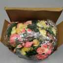 12 Pcs 100 ft Flower Garland Artificial Rose Vine with Green Leaves Hanging Artificial Flower Vines Ivy Garlands Wall Garden Decor for Room Wedding Birthday Arch Decor(Champagne)