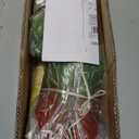 Velener Fall Fake Agave Artificial Plant, Red Fake Succulents Plant for Room Decor, Unpotted Faux Agave Stems Plant for Fall Outdoor/Indoor Decor, 22 inches, Set of 2