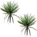 2 PCS Large Lifelike Artificial Agave Plants, UV Resistant Unpotted Succulents for Indoor & Outdoor Decor (20 Inch) (Green)