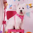 Didog Cute Small Dog Harness Collar and Leash Set with Bowtie, Breathable Soft Mesh Padded Puppy Harness, Dog Harness for Small Dogs Daily Walks Parties, Holiday Gatherings & Gifts, Hot Pink, S