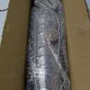 ASOPARTS 3" Universal Converter, 3" Inlet/Outle Cat Converter with Heat Shield and O2 Port