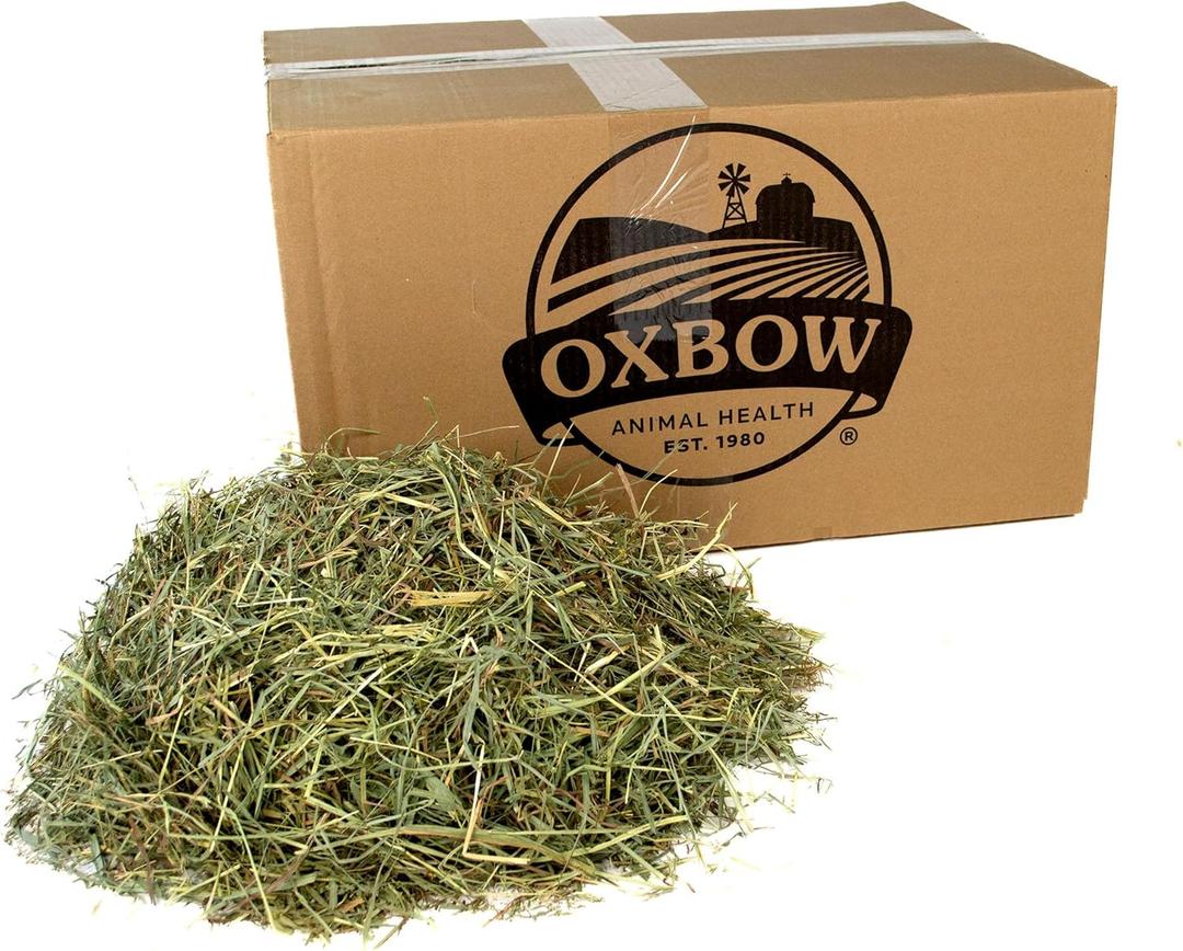 Oxbow Animal Health Orchard Grass, Guinea Pig Hay, Rabbit Hay, Small Pet Bunny Supplies, All Natural Grass for Guinea Pig, Bunny, Chinchilla & Hamster, Oxbow Rabbit Supplies, Grown in USA, 25 lb. (25 Pound (Pack of 1))
