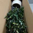 5 ft Artificial Olive Tree, Triple Ball Topiary Faux Plant with Moss & Pot, Outdoor Indoor Realistic Fake Shrubs Trees, Round Bushes Fake Shrubs Potted for Home Offices Porch Decor, Set of 1