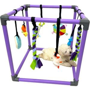 DOZZOPET Puppy Play Gym for Small Dogs with 8 Hanging Toys, Jungle Playground with Interactive Funny Enrichment Toys to Keep Them Busy, Purple