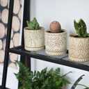 Gepege 4 Inch Small Indoor Succulent Ceramic Planter Pot with Drainage Holes and Saucers for Plants, Birthday for Women Mom (White)