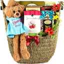Gift Basket Village Hang In There, Get Well Basket Hang In There - Get Well Basket With Plush Recovery Buddy & Comfort Snacks To Lift Their Spirits While They Recover, 8 Lb