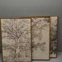 Ausril Vintage Sketchbook Forest Framed Canvas Wall Art Set, Neutral Minimalist Tree Wall Decor, Wilderness Illustration Wall Painting, Retro Botanical Art Print Living Room, Office 16"x24"x3 