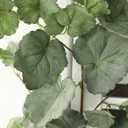 Dallisten 3 Strands Begonia Artificial Vines, 67" Silk Vine Garland with Green Leaves, Fake Hanging Plants Greenery Decor for Home, Bedroom, Wall, Party, Wedding Decoration